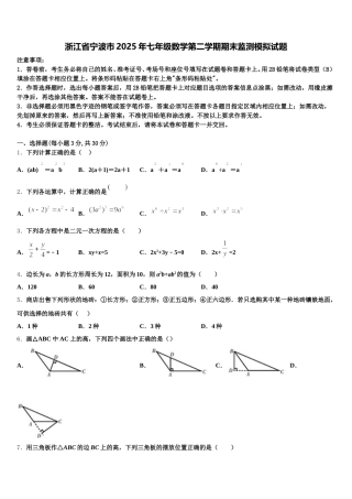 浙江省宁波市2025年七年级数学第二学期期末监测模拟试题含解析