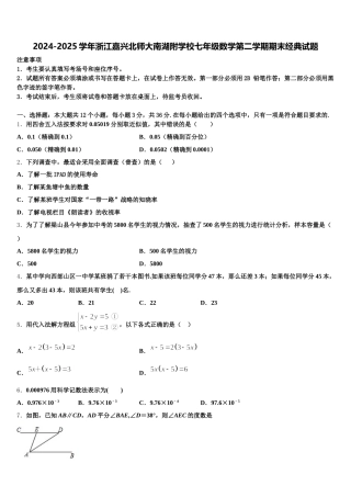 2024-2025学年浙江嘉兴北师大南湖附学校七年级数学第二学期期末经典试题含解析