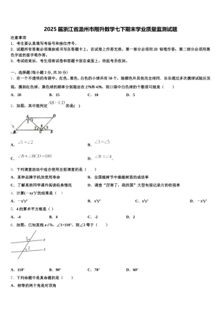 2025届浙江省温州市翔升数学七下期末学业质量监测试题含解析