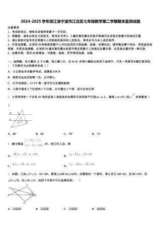 2024-2025学年浙江省宁波市江北区七年级数学第二学期期末监测试题含解析