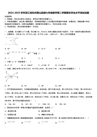 2024-2025学年浙江省杭州萧山回澜七年级数学第二学期期末学业水平测试试题含解析