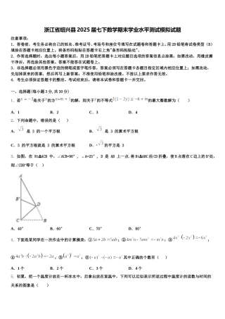 浙江省绍兴县2025届七下数学期末学业水平测试模拟试题含解析