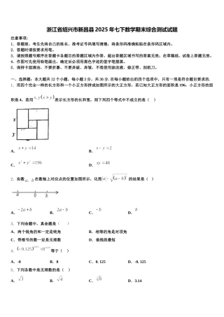 浙江省绍兴市新昌县2025年七下数学期末综合测试试题含解析