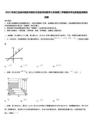 2025年浙江省温州瑞安市新纪元实验学校数学七年级第二学期期末学业质量监测模拟试题含解析
