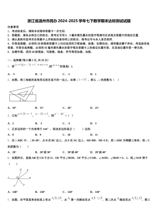 浙江省温州市民办2024-2025学年七下数学期末达标测试试题含解析