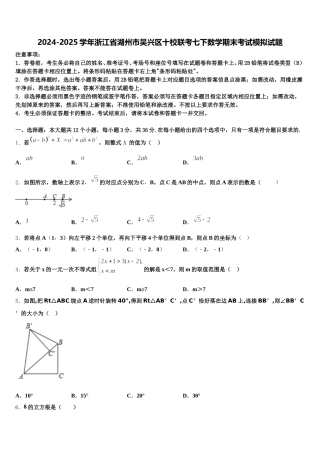 2024-2025学年浙江省湖州市吴兴区十校联考七下数学期末考试模拟试题含解析