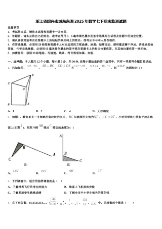浙江省绍兴市城东东湖2025年数学七下期末监测试题含解析