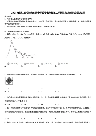 2025年浙江省宁波市东恩中学数学七年级第二学期期末综合测试模拟试题含解析