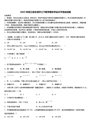 2025年浙江省乐清市七下数学期末学业水平测试试题含解析