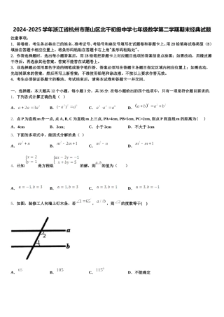2024-2025学年浙江省杭州市萧山区北干初级中学七年级数学第二学期期末经典试题含解析