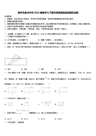 湖州市重点中学2025届数学七下期末质量跟踪监视模拟试题含解析