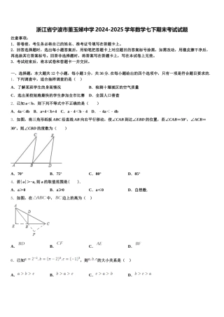 浙江省宁波市董玉娣中学2024-2025学年数学七下期末考试试题含解析