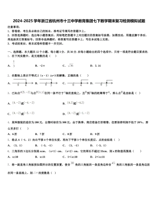 2024-2025学年浙江省杭州市十三中学教育集团七下数学期末复习检测模拟试题含解析