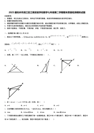 2025届杭州市滨江区江南实验学校数学七年级第二学期期末质量检测模拟试题含解析