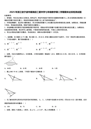 2025年浙江省宁波市镇海区仁爱中学七年级数学第二学期期末达标检测试题含解析
