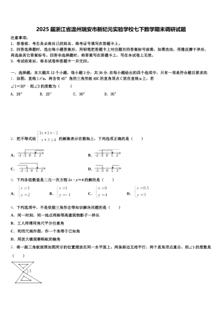 2025届浙江省温州瑞安市新纪元实验学校七下数学期末调研试题含解析