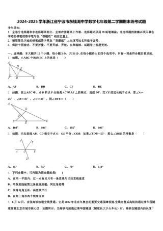 2024-2025学年浙江省宁波市东钱湖中学数学七年级第二学期期末统考试题含解析