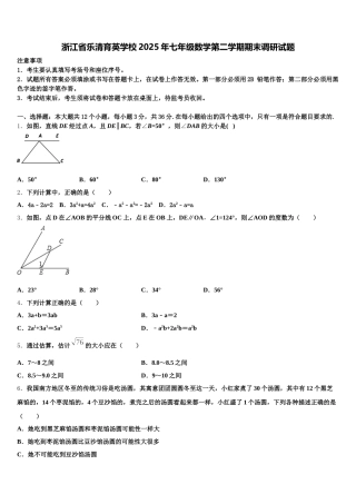 浙江省乐清育英学校2025年七年级数学第二学期期末调研试题含解析