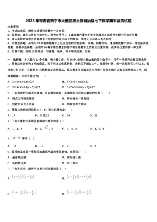 2025年青海省西宁市大通回族土族自治县七下数学期末监测试题含解析