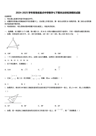 2024-2025学年青海省重点中学数学七下期末达标检测模拟试题含解析