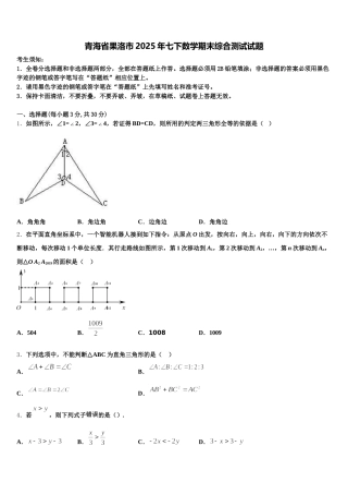 青海省果洛市2025年七下数学期末综合测试试题含解析
