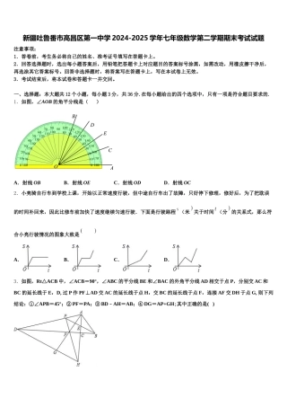 新疆吐鲁番市高昌区第一中学2024-2025学年七年级数学第二学期期末考试试题含解析