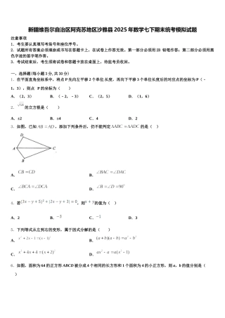 新疆维吾尔自治区阿克苏地区沙雅县2025年数学七下期末统考模拟试题含解析