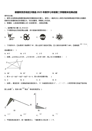 新疆阿克苏地区沙雅县2025年数学七年级第二学期期末经典试题含解析
