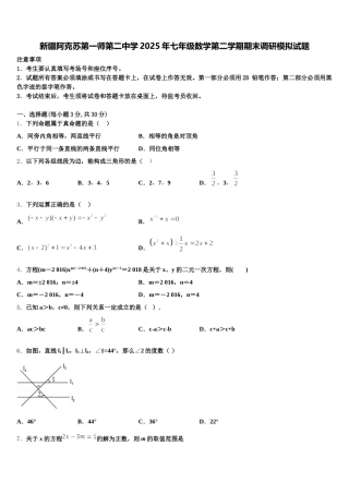 新疆阿克苏第一师第二中学2025年七年级数学第二学期期末调研模拟试题含解析