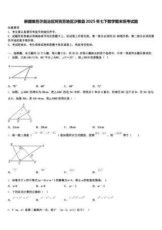 新疆维吾尔自治区阿克苏地区沙雅县2025年七下数学期末统考试题含解析