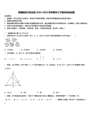 新疆维吾尔自治区2024-2025学年数学七下期末检测试题含解析