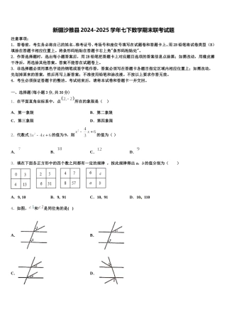 新疆沙雅县2024-2025学年七下数学期末联考试题含解析