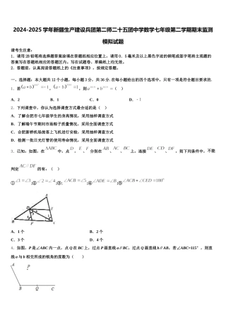 2024-2025学年新疆生产建设兵团第二师二十五团中学数学七年级第二学期期末监测模拟试题含解析