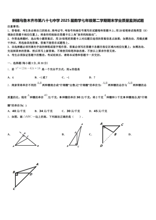 新疆乌鲁木齐市第八十七中学2025届数学七年级第二学期期末学业质量监测试题含解析
