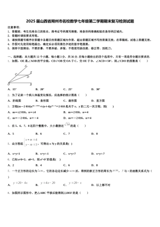 2025届山西省朔州市名校数学七年级第二学期期末复习检测试题含解析