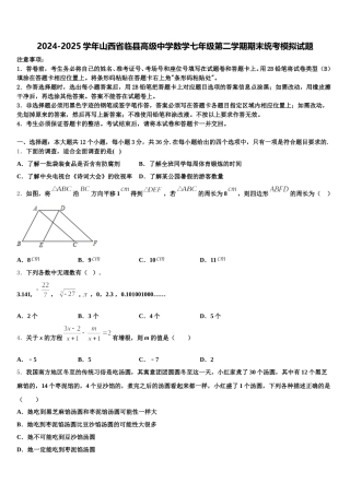 2024-2025学年山西省临县高级中学数学七年级第二学期期末统考模拟试题含解析