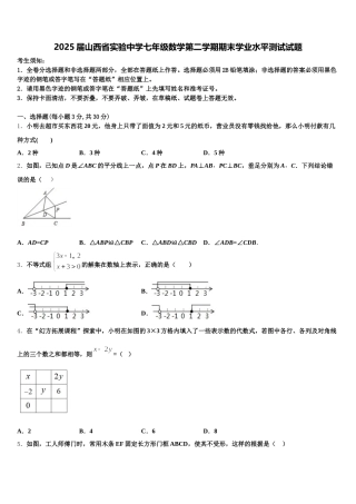 2025届山西省实验中学七年级数学第二学期期末学业水平测试试题含解析