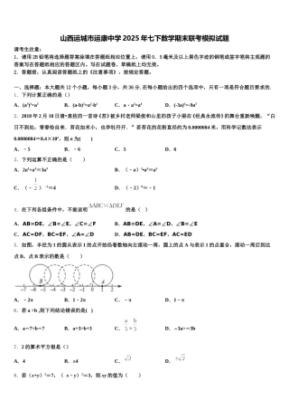 山西运城市运康中学2025年七下数学期末联考模拟试题含解析