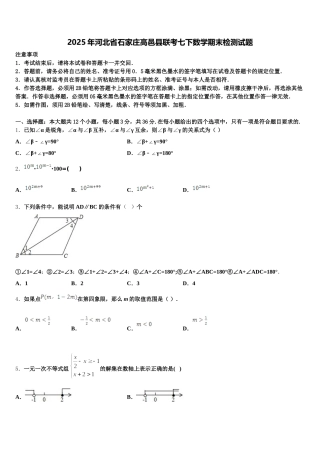 2025年河北省石家庄高邑县联考七下数学期末检测试题含解析