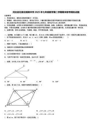河北省石家庄精英中学2025年七年级数学第二学期期末联考模拟试题含解析