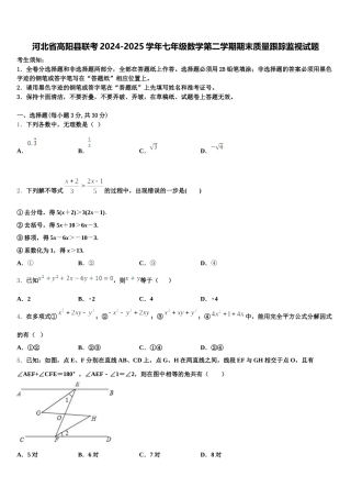河北省高阳县联考2024-2025学年七年级数学第二学期期末质量跟踪监视试题含解析