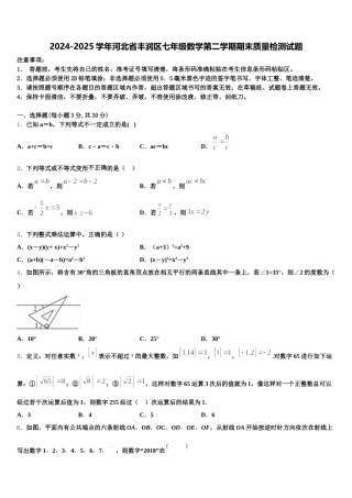 2024-2025学年河北省丰润区七年级数学第二学期期末质量检测试题含解析
