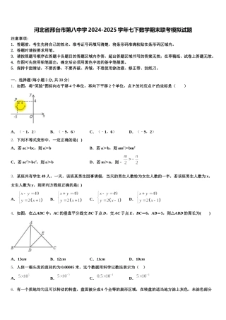 河北省邢台市第八中学2024-2025学年七下数学期末联考模拟试题含解析