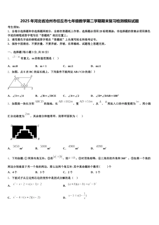 2025年河北省沧州市任丘市七年级数学第二学期期末复习检测模拟试题含解析