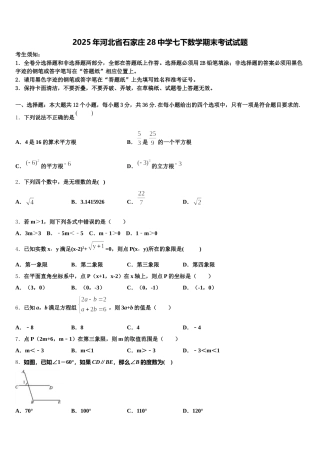 2025年河北省石家庄28中学七下数学期末考试试题含解析