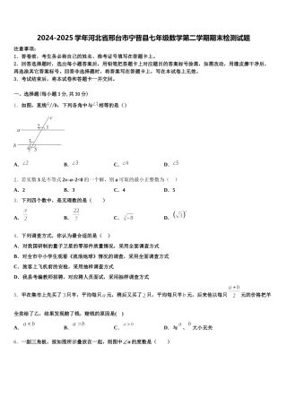 2024-2025学年河北省邢台市宁晋县七年级数学第二学期期末检测试题含解析
