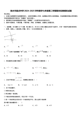 衡水市重点中学2024-2025学年数学七年级第二学期期末经典模拟试题含解析