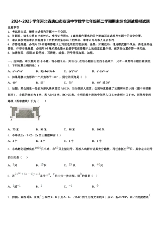2024-2025学年河北省唐山市友谊中学数学七年级第二学期期末综合测试模拟试题含解析