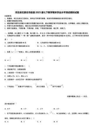 河北省石家庄市赵县2025届七下数学期末学业水平测试模拟试题含解析