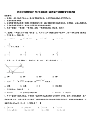 河北省邯郸武安市2025届数学七年级第二学期期末预测试题含解析